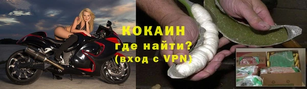 бошки Инта