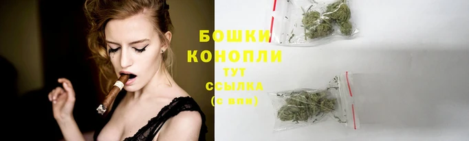 Альфа ПВП Зеленокумск